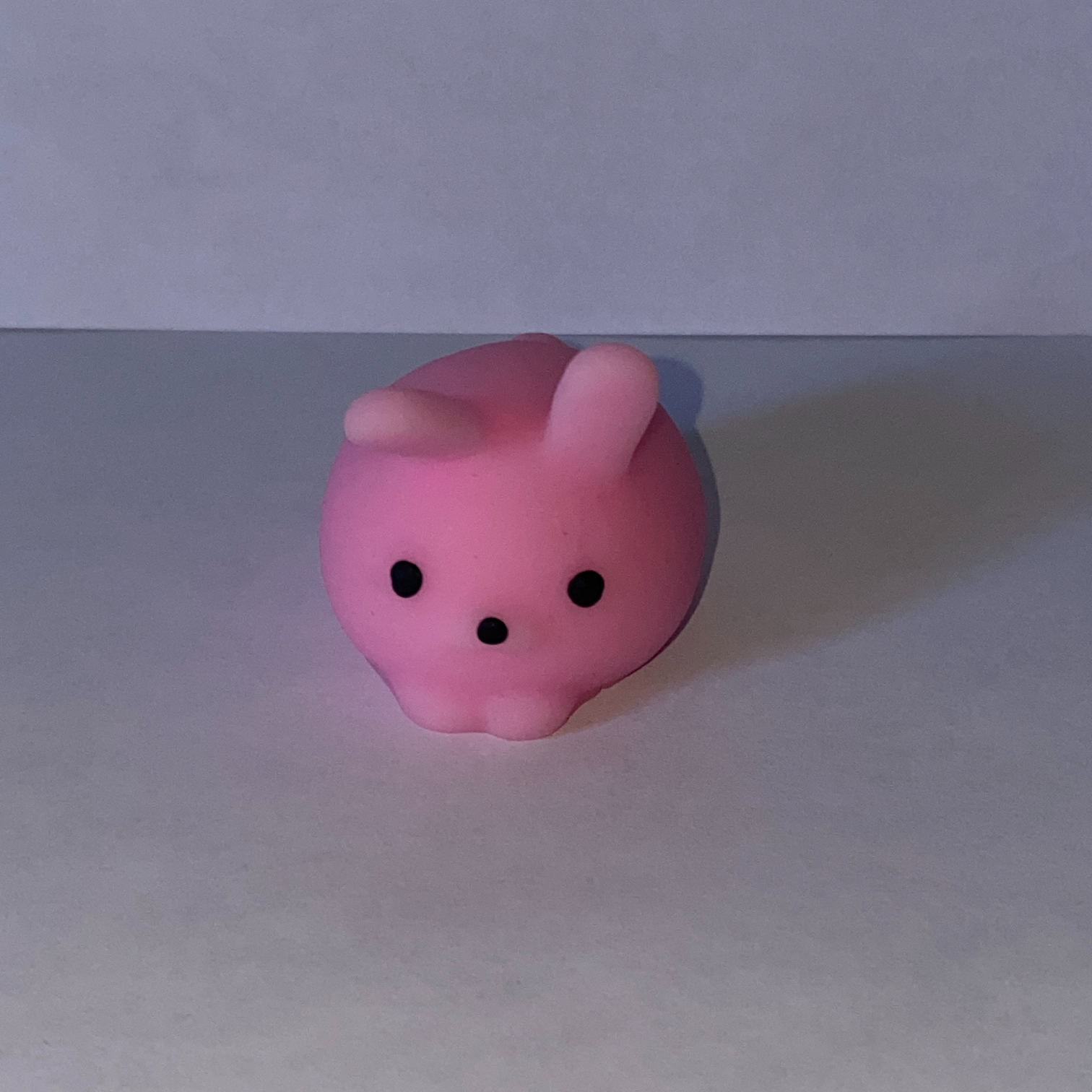 An image of a bunny squishy toy.