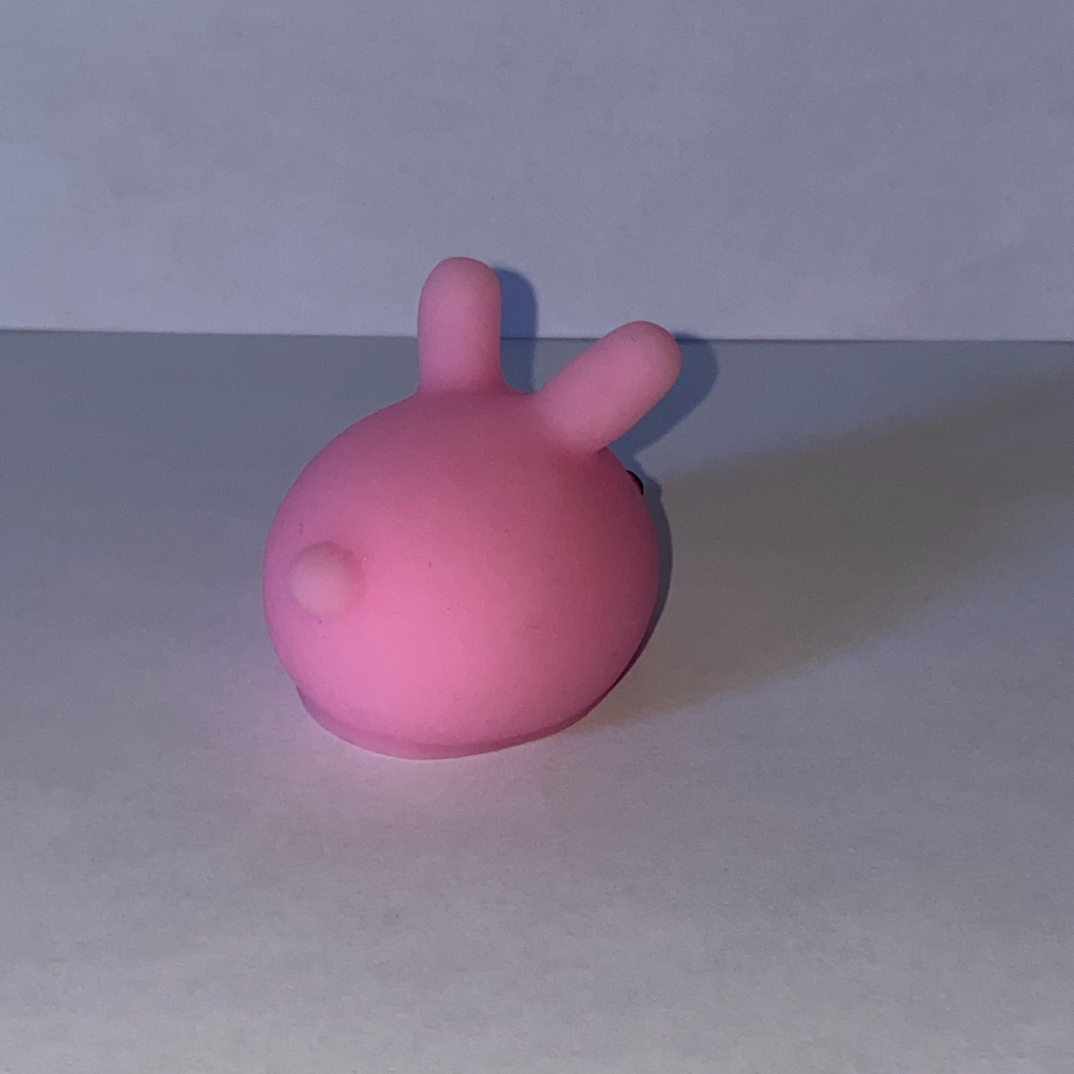 An image of a bunny squishy toy.