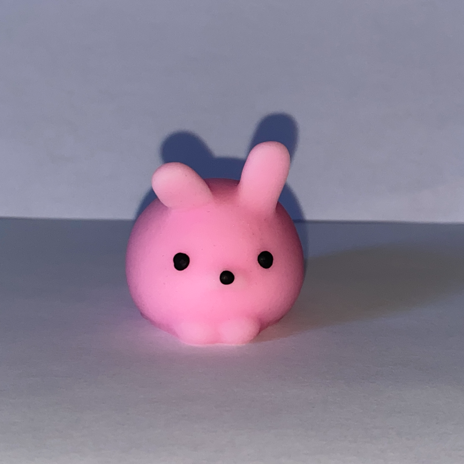 An image of a bunny squishy toy.
