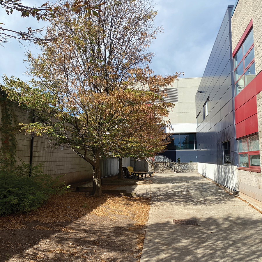 An unused image taken for the first spatial workshop.